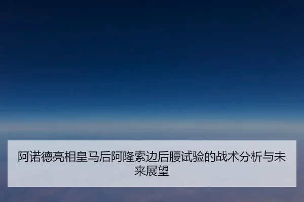 a-nuo-de-liang-xiang-huang-ma-hou-a-long-suo-bian-hou-yao-shi-yan-de-zhan-shu-fen-xi-yu-wei-lai-zhan-wang-2-245.jpg
